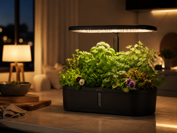 Cozy herb garden growing in a modern kitchen