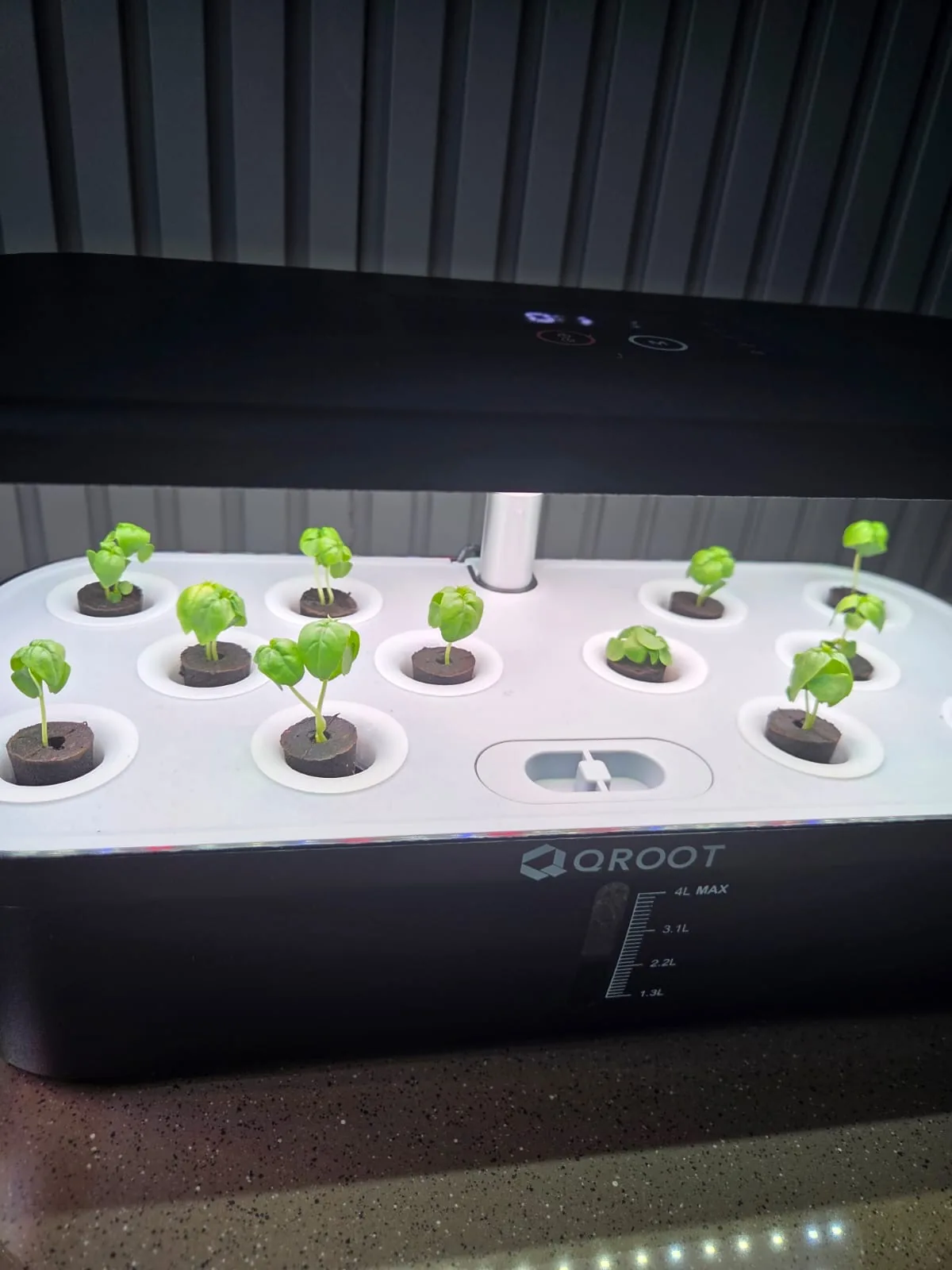 QROOT hydroponic garden growing fresh greens at home