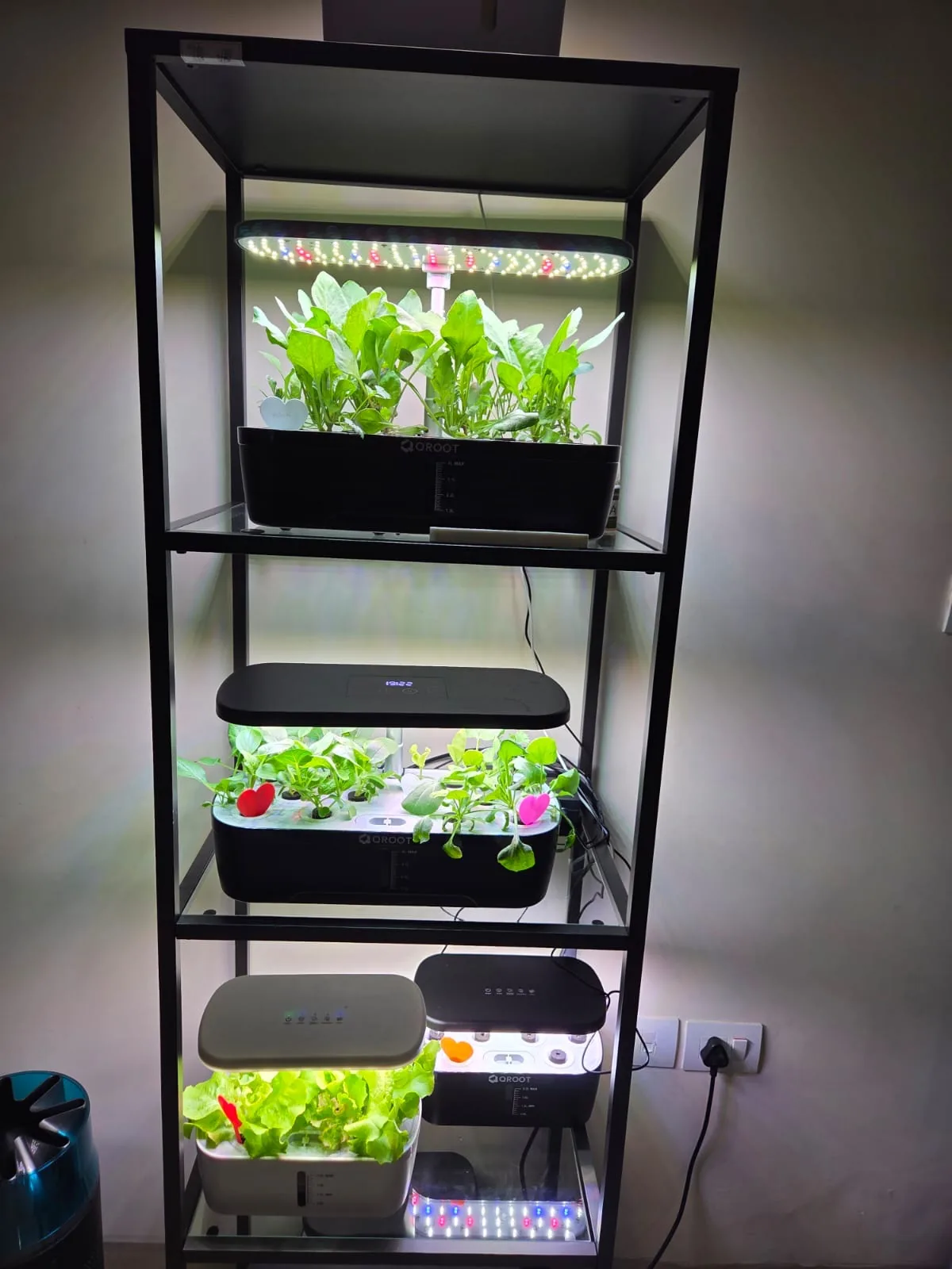 QROOT hydroponic garden growing fresh greens at home